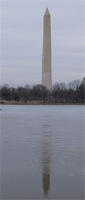 Washington Phallus